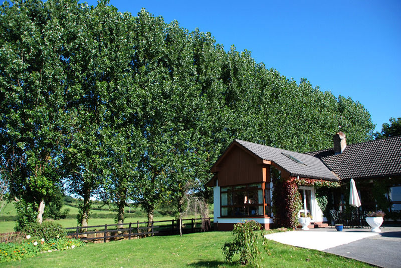 Clomantagh The Bungalow Farmhouse المظهر الخارجي الصورة